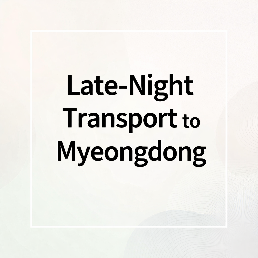late-Night Transport to Myeongdong